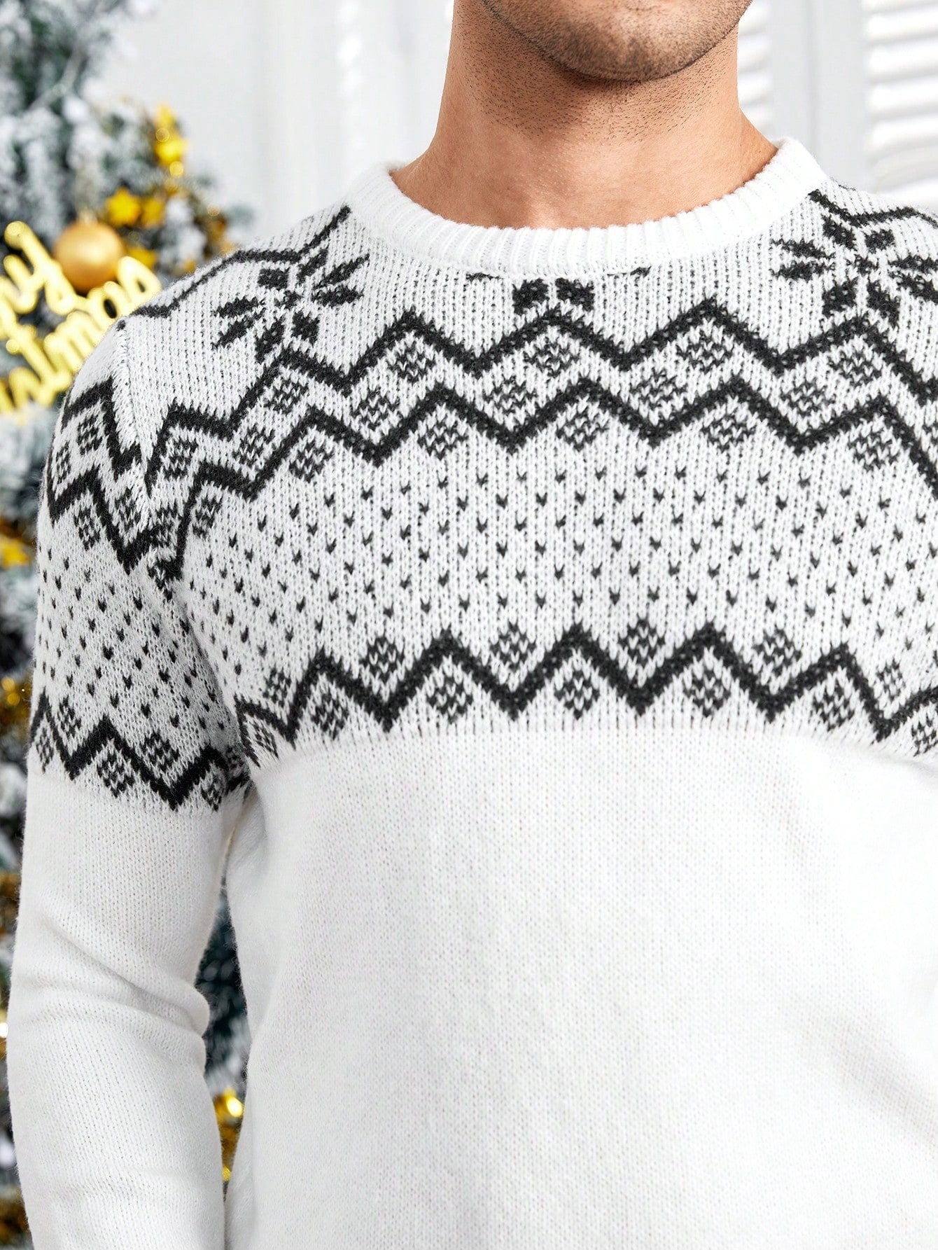 Men Geo Pattern Sweater